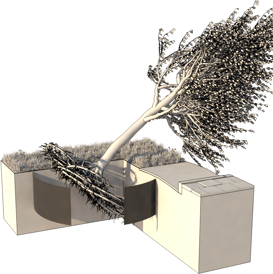 Ribs Prevent The Roots From Growing Within The Cylinder - Tree (1000x1000), Png Download