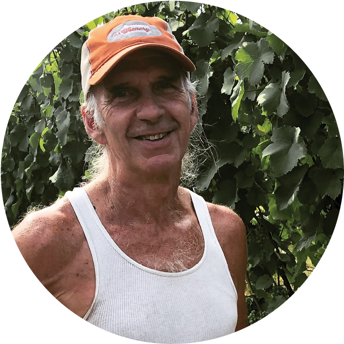 Phildavis - Tree (695x695), Png Download