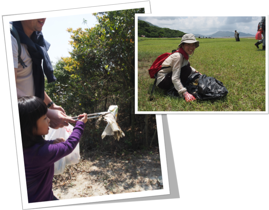 Join Us And Work With Us - Grass (960x720), Png Download