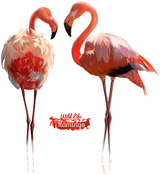 Pink Flamingo Illustration By - Watercolor Painting (600x626), Png Download