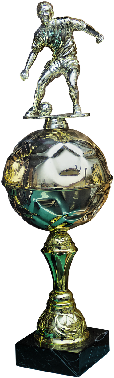 Cup Trophy Football - Trophy (492x1280), Png Download