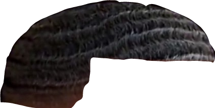 Slender Blind Snake (421x213), Png Download