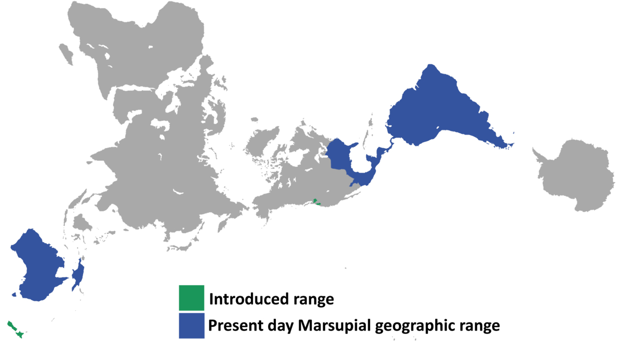 High Quality Images Of Maps - Map (1280x715), Png Download