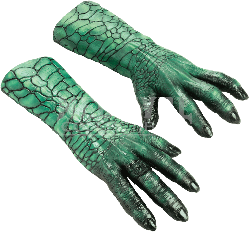 Alligator (850x850), Png Download