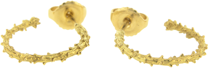 Evergreen Hoop Earrings - Earrings (800x800), Png Download