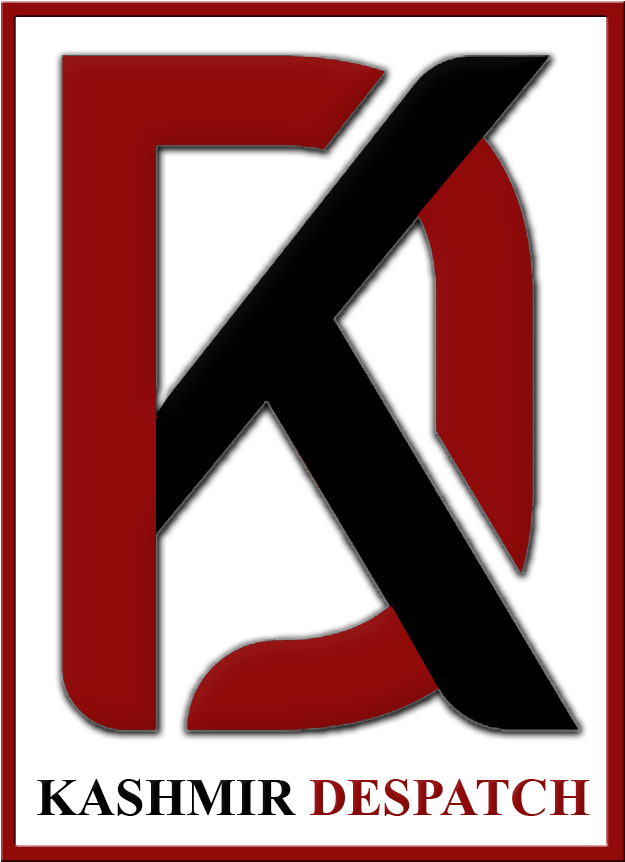 Spontaneous Shutdown And Protest In Valley - Sign (712x950), Png Download