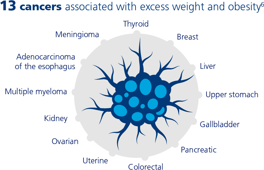 13 Cancers Associated With Excess Weight And Obesity - Circle (961x667), Png Download