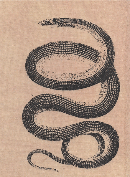 Snake-patch - Smooth Earth Snake (1000x700), Png Download