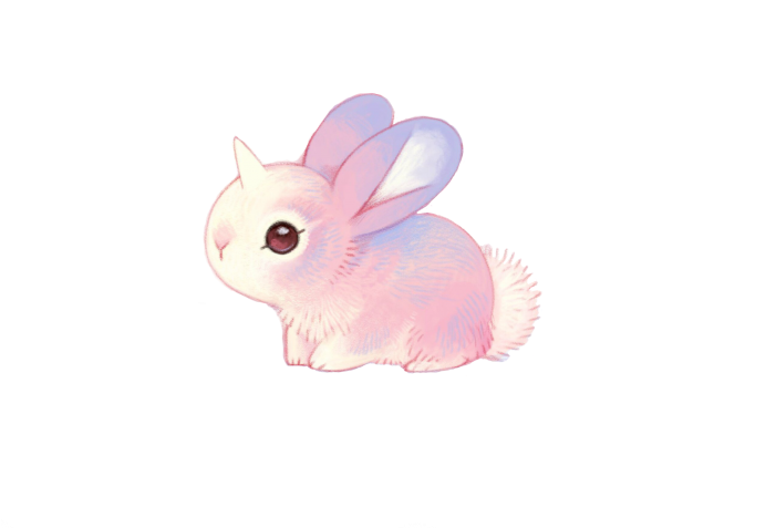 Domestic Rabbit (700x496), Png Download