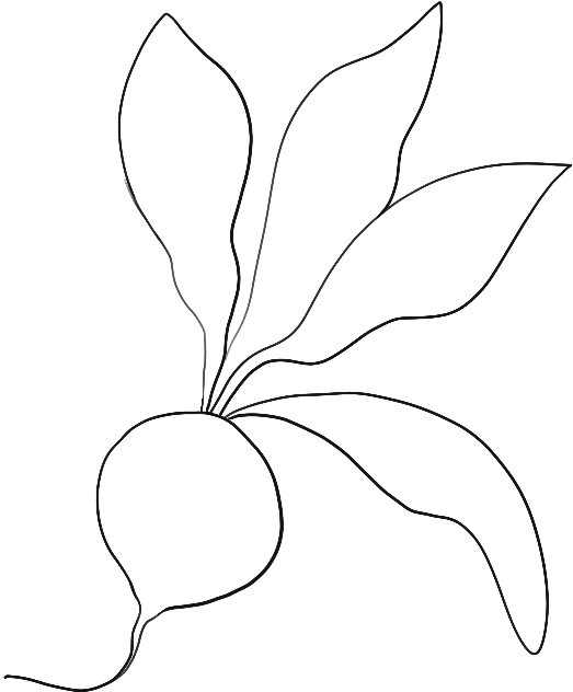 Welcome To Our Green Kitchen - Sketch (691x793), Png Download