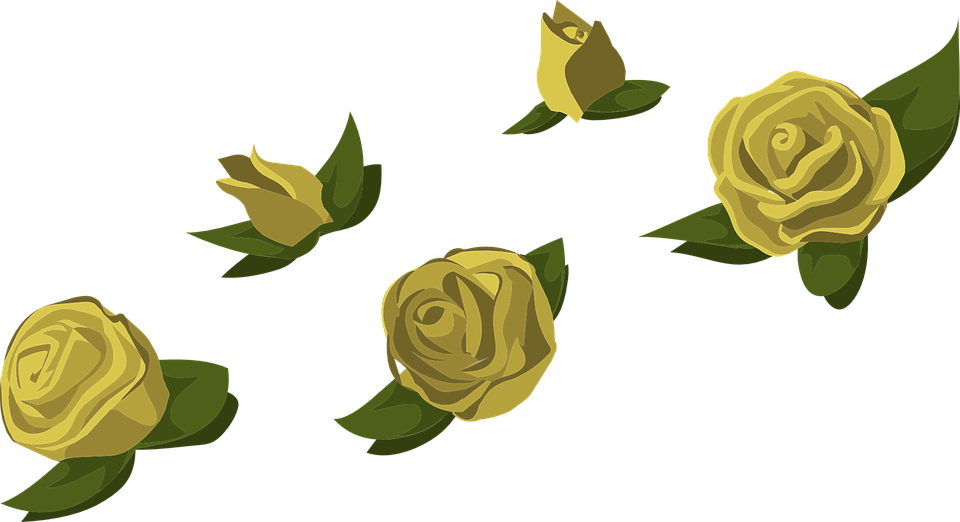 Yellow Rose Flower Free Png Transparent Images Free - Canh Hoa Hong Vector (960x522), Png Download
