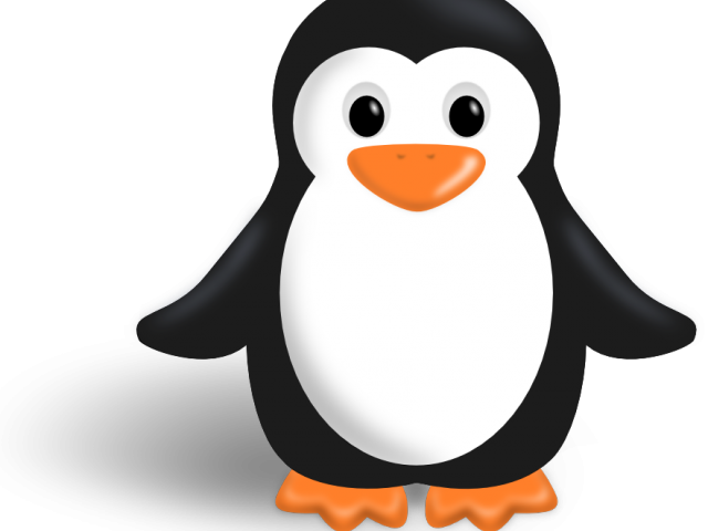 Animal Clipart Penguin - Penguin Clipart (640x480), Png Download