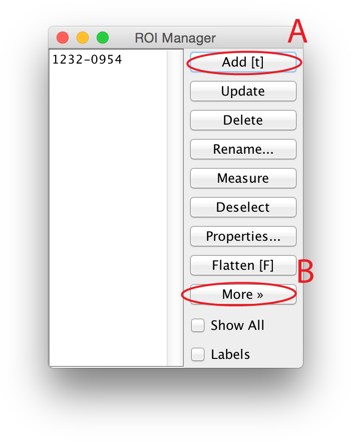 How To Manually Draw A Region Of Interest In Imagej - Colorfulness (733x907), Png Download