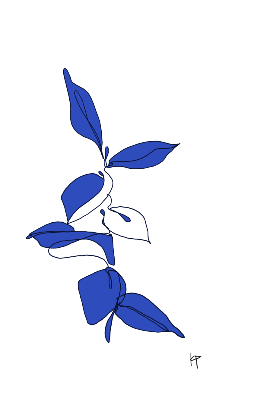 Leaf - Iris (1000x1333), Png Download