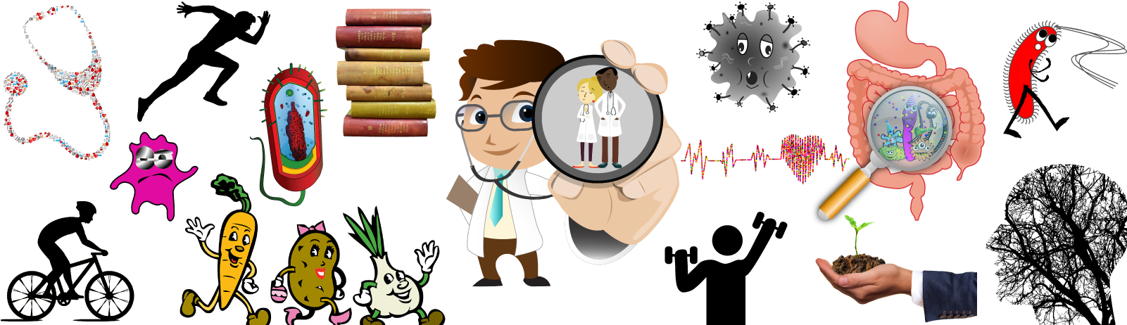 Soca Aerobics - Gym Icon (1618x506), Png Download