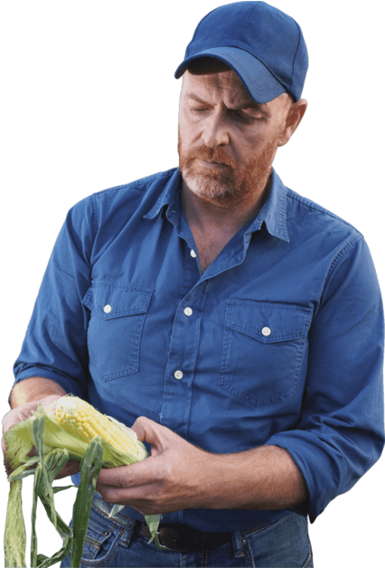 This Png File Is About Raising Field Crops , Laborer - Farmer Png (800x627), Png Download
