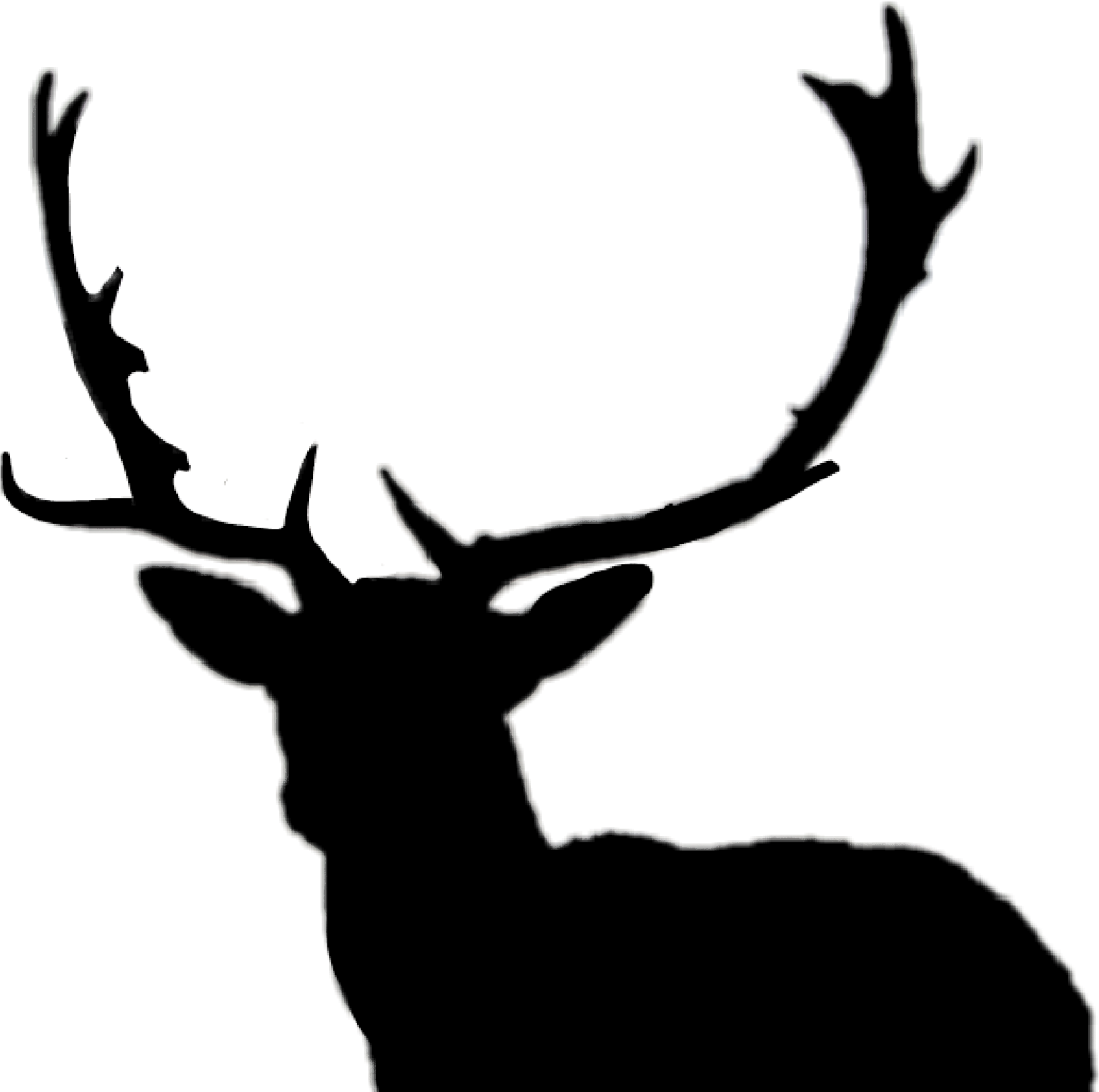 Largest Collection Of Free To Edit Ombre Hair Stickers - Sayings About Deer Antlers (2289x2289), Png Download