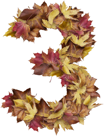 3 Number With Dry Leaves - Prince Of Wales Feathers (866x650), Png Download
