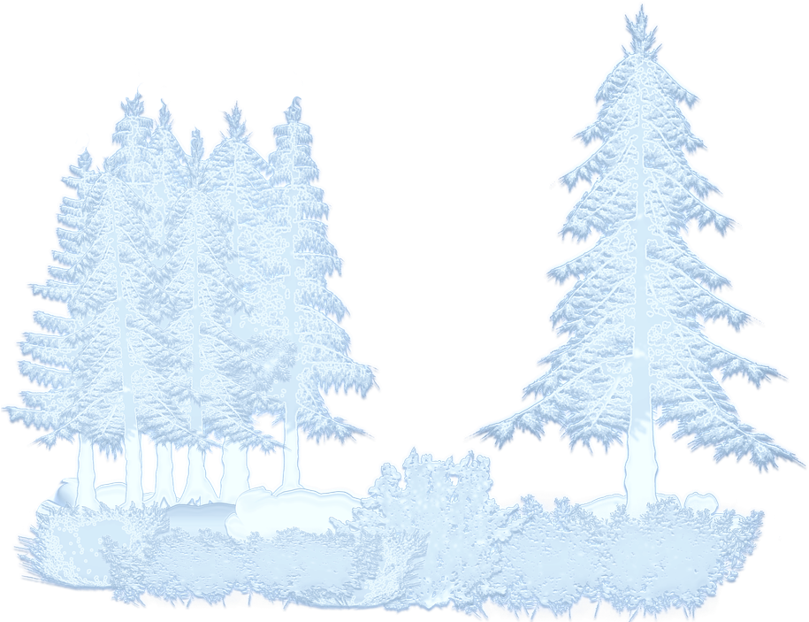 Winter, Snow, Trees, Forest - Arvores Com Neve Png (922x720), Png Download