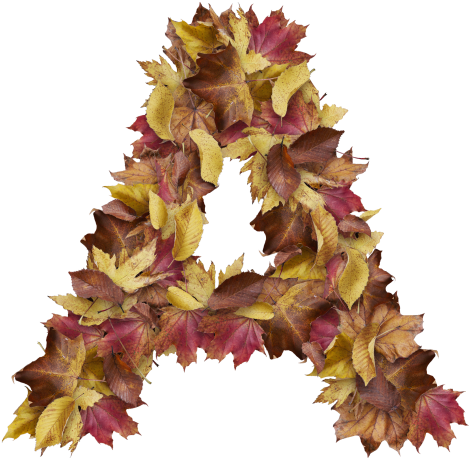 Letter A From Dry Leaves - Prince Of Wales Feathers (866x650), Png Download
