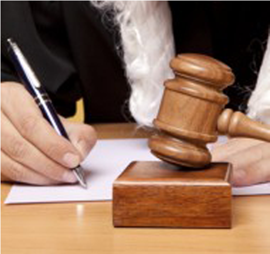 Federal Circuit And Advisory Council Model Orders - Legal Consultancy (750x500), Png Download