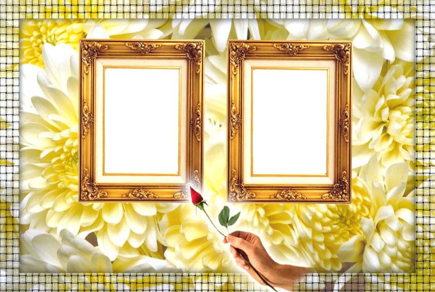 Gold Frame Png Photo - Picture Frame (849x570), Png Download