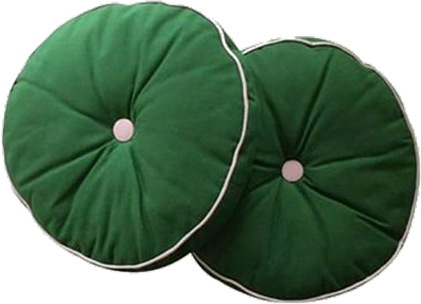 Moodboard Polyvore Png Polyvorepng Pillow Pillows Green - Cushion (1024x882), Png Download