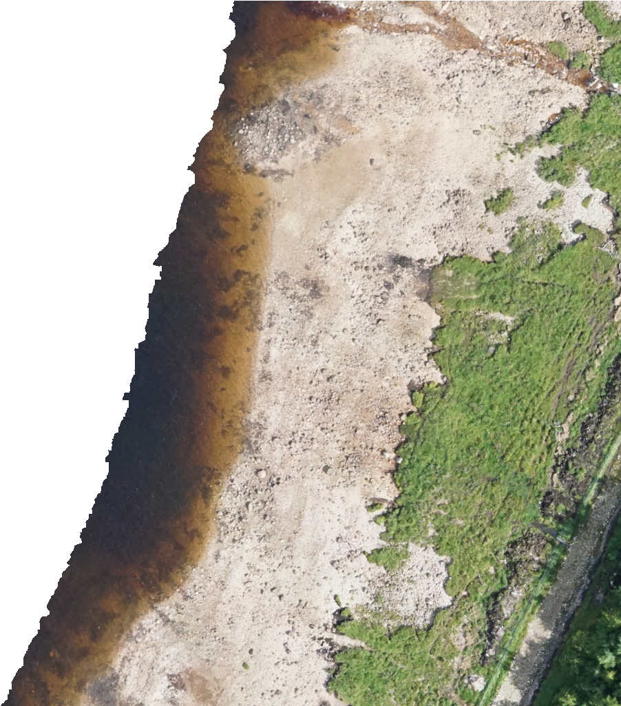 Kml Href, E0031 - Grass (1024x1024), Png Download