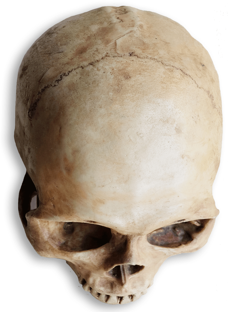 Skull Heart Png - Skull (820x1200), Png Download