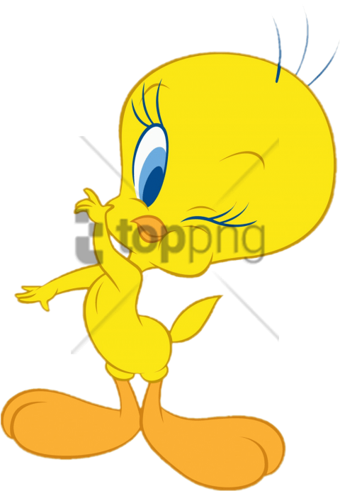 Free Png Tweety Bird Png Image With Transparent Background - Tweety Bird Transparent Background (480x693), Png Download