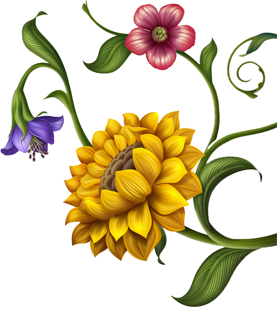 Flower Flowers Summer Title - Sunflower (584x630), Png Download