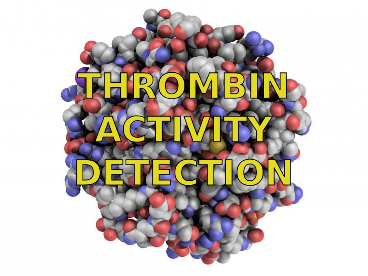 Thrombin - Seedless Fruit (1200x1200), Png Download