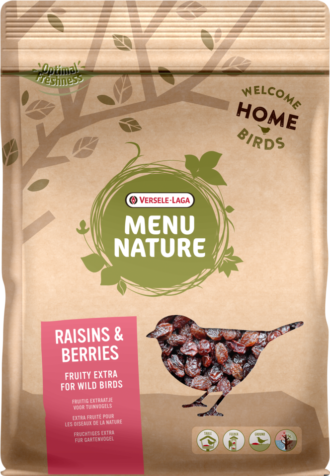 Mélange De Graines Avec Insectes (800x958), Png Download