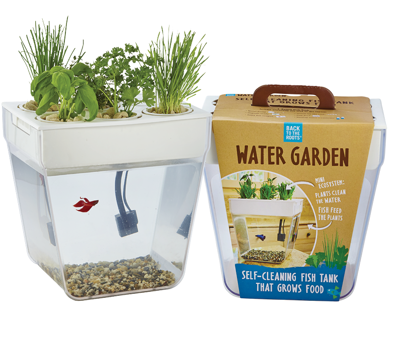 Self Cleaning Fish Tank - Herb Growing Set Indoor (840x760), Png Download