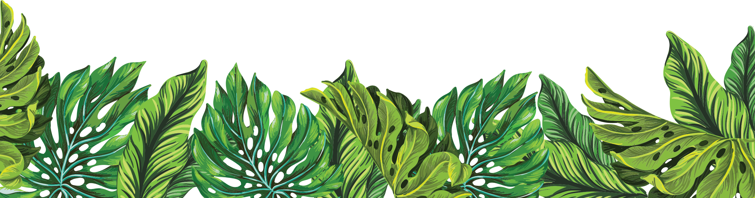 Become - Tree (2598x682), Png Download