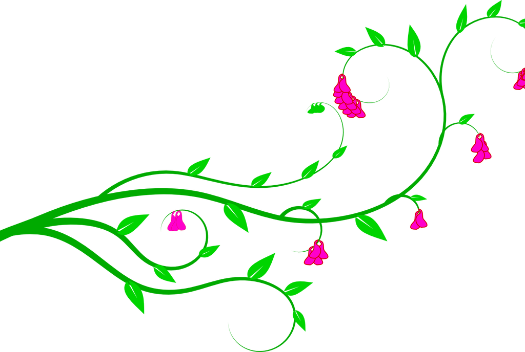 Download Vine Clip Art - Vines Art Png (1024x688), Png Download