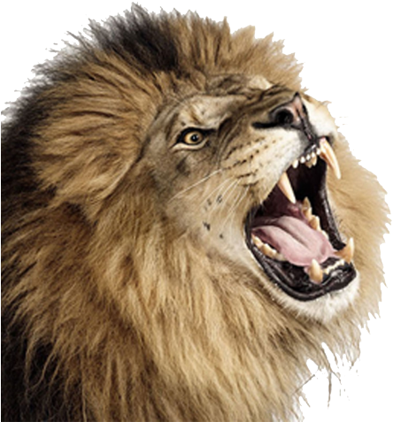 Lion Head Roaring - Creature Andrew Zuckerman (640x480), Png Download