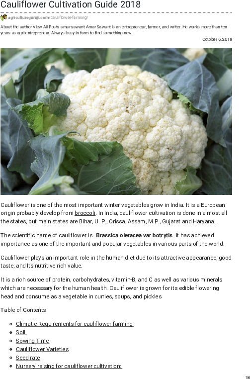 Pdf - 7 Cauliflower (595x842), Png Download