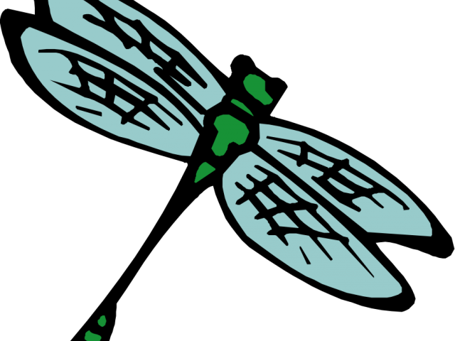 Insect Clipart Kid Png - Insect Clip Art Transparent (640x480), Png Download