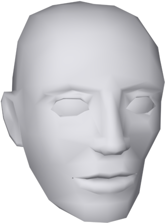 Head - Human (800x600), Png Download