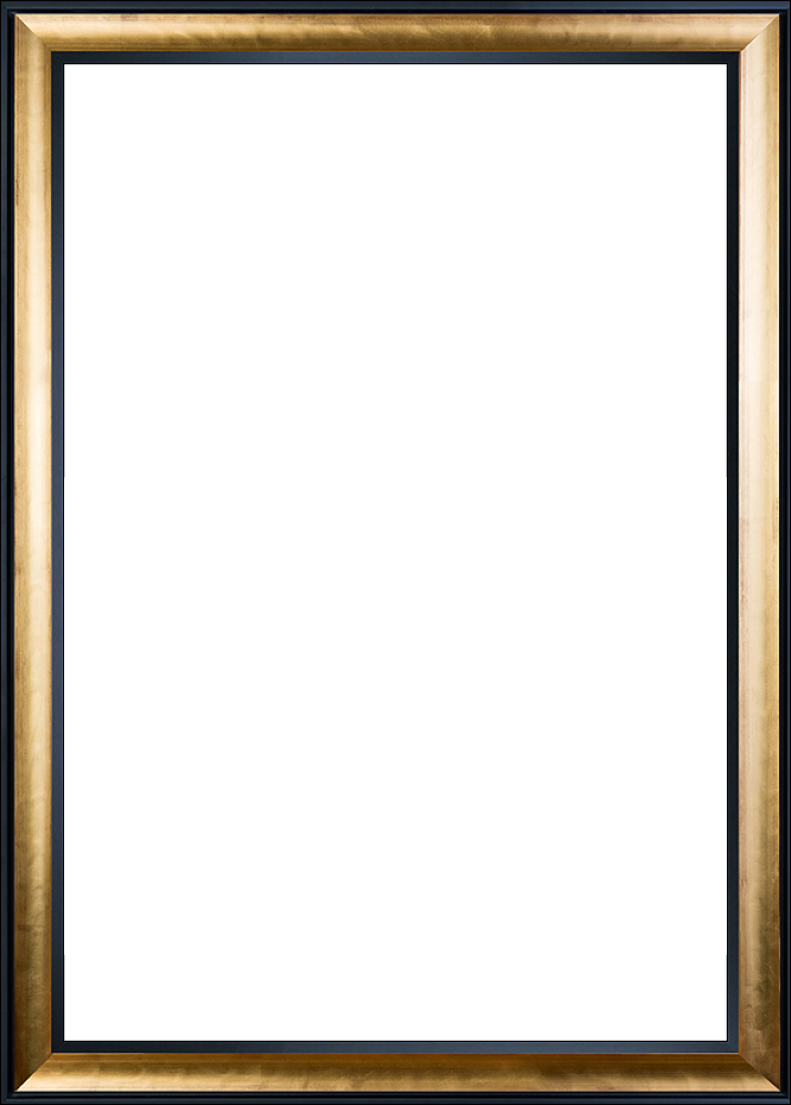 Gold Luminoso And Black Custom Stacked Frame - Picture Frame (716x1000), Png Download