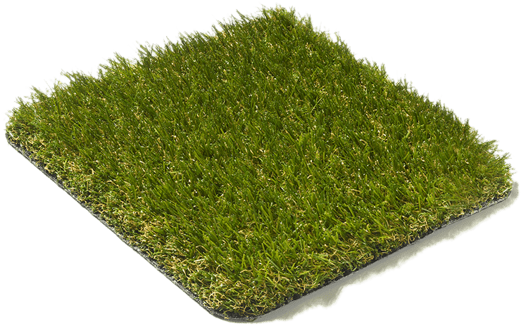 Lido 30mm - Types - Grass - Evergreen Grass (800x505), Png Download