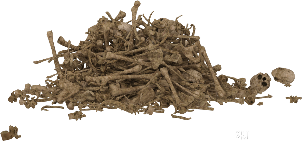 Posted By Rj At - Driftwood (1196x589), Png Download