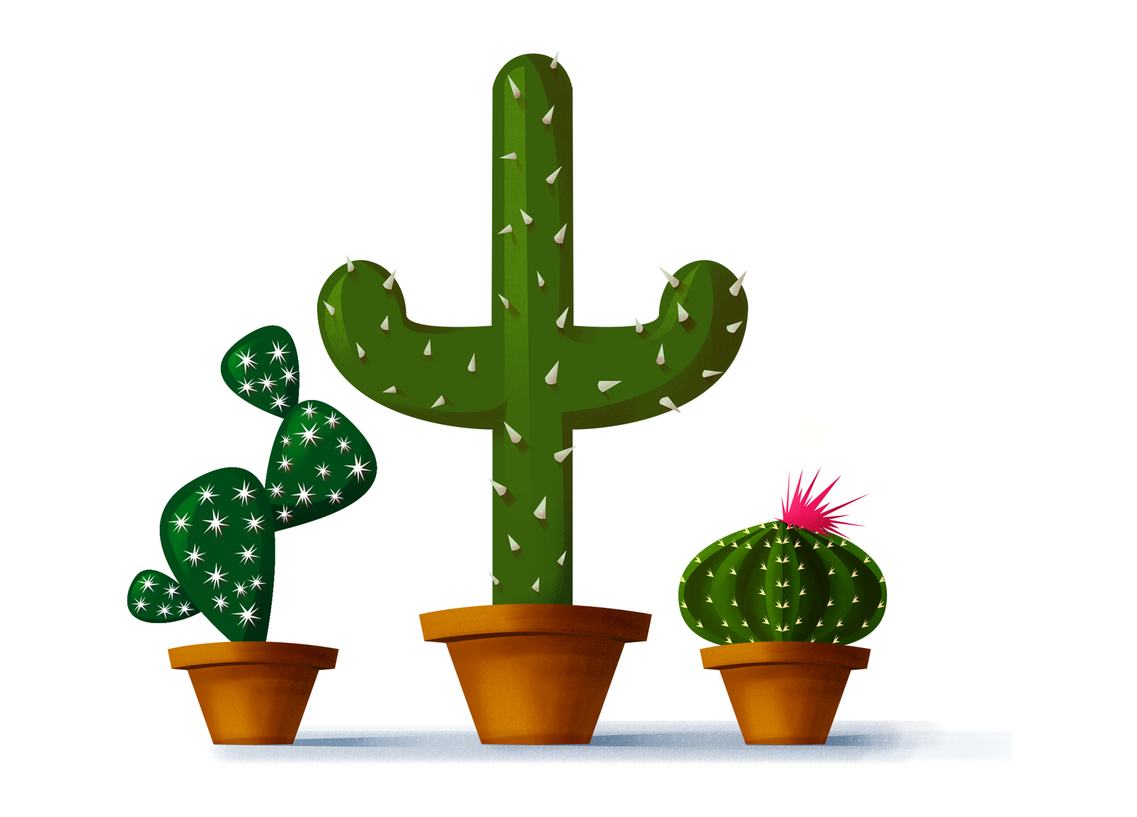1280 X 960 13 0 0 - Make A Cactus In Illustrator (1280x960), Png Download