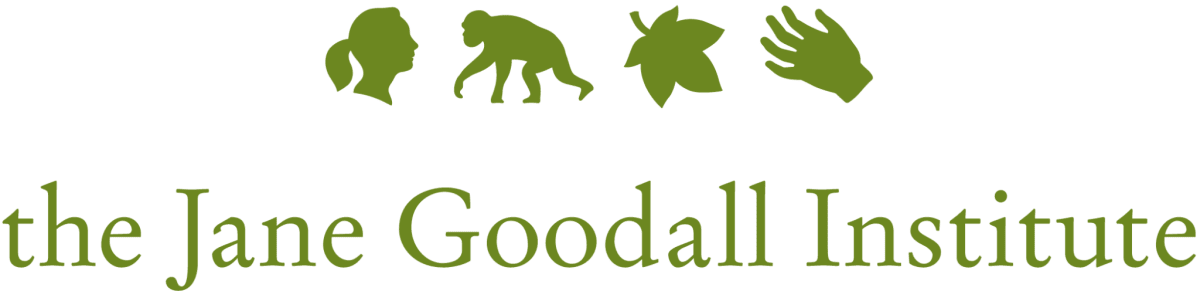 Interested In Becoming A World Chimpanzee Day Partner (1200x291), Png Download