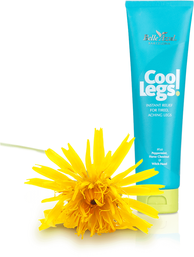 Known As Liquid Gold This Oil Deeply Regenerates Skin, - Dandelion (937x937), Png Download