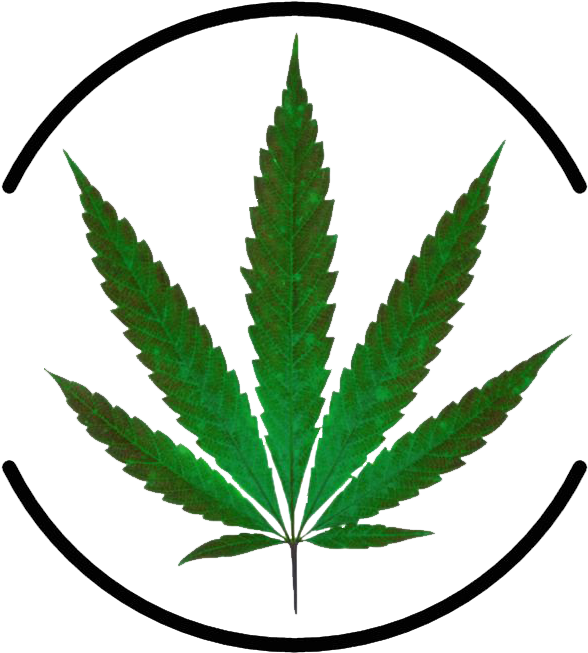 Marijuana Leaf (1000x1000), Png Download