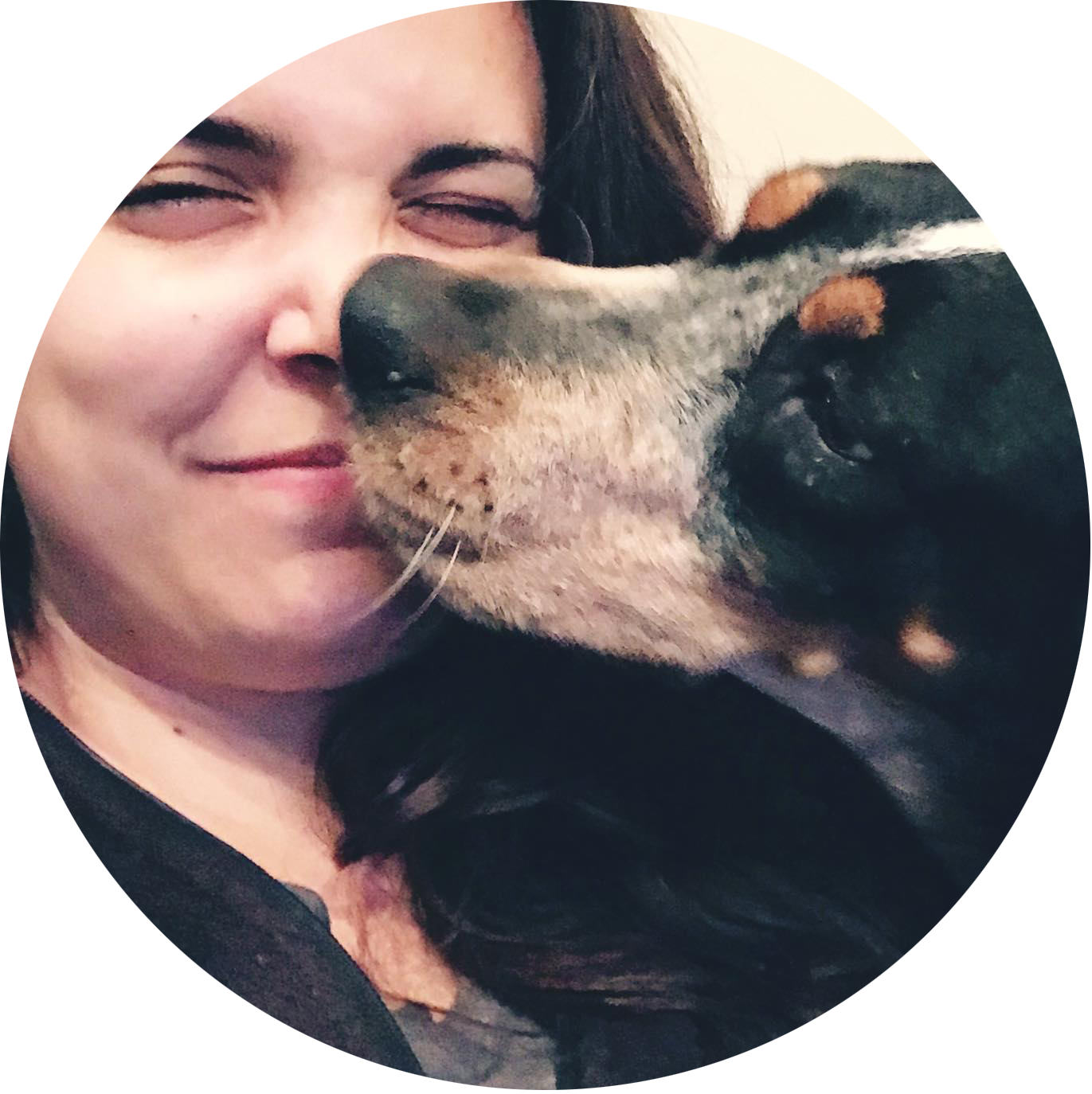 Foster - Companion Dog (1371x1374), Png Download