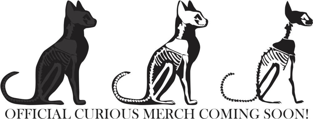 Coming Soon - Wolfdog (1000x493), Png Download