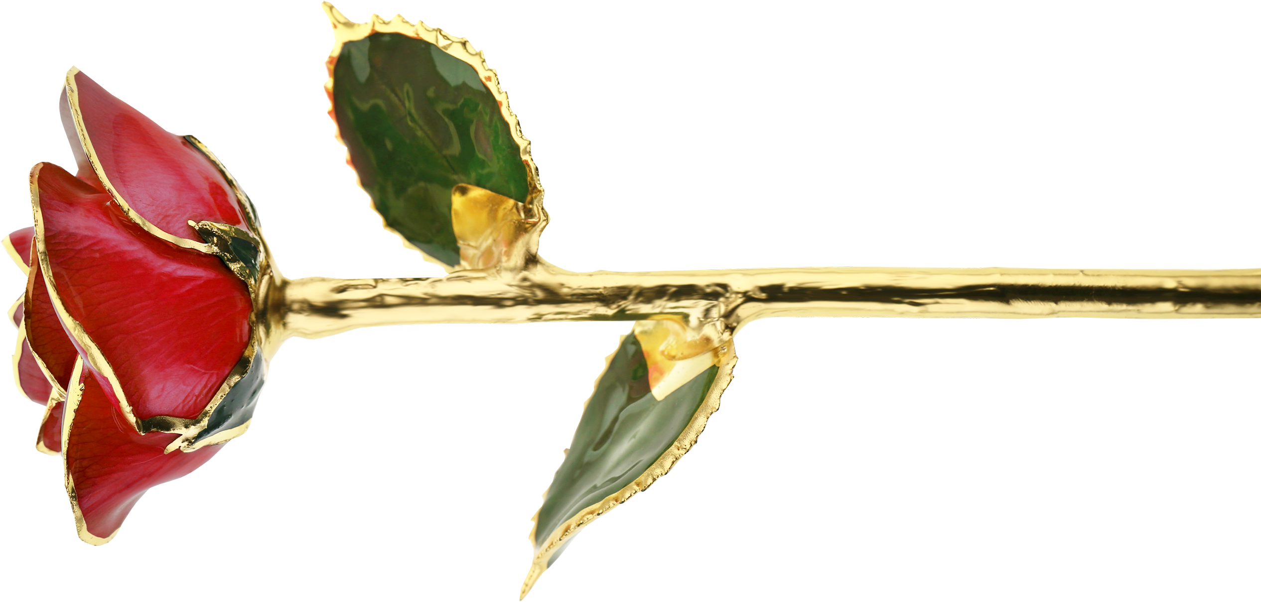 Roses Starting At $59 - Twig (3000x1288), Png Download